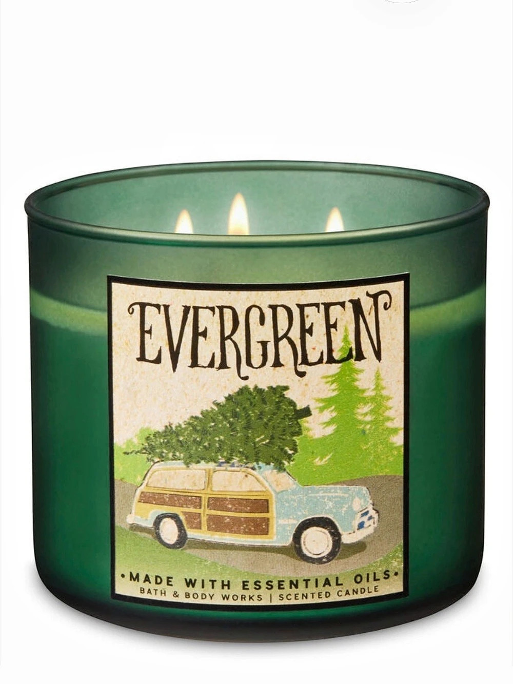 Bath & Body Works Evergreen 3-Wick Candle in Green NWT